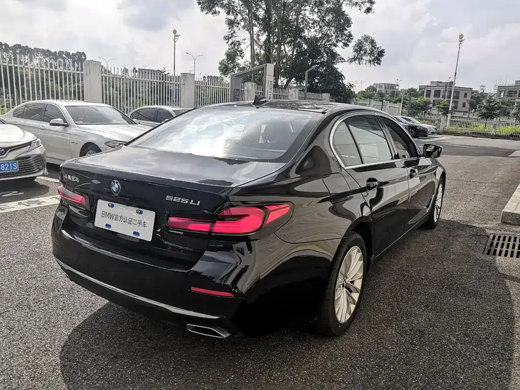 BMW 5 Series 2024 из CN, фото 4