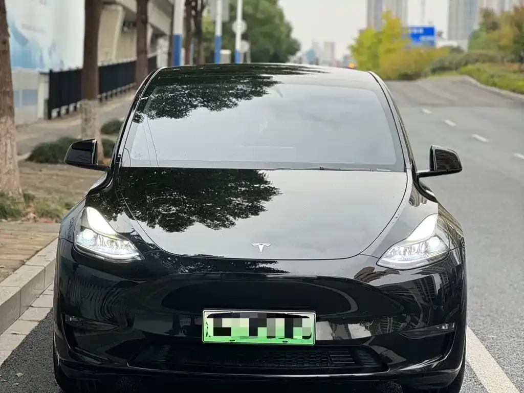 Tesla Model Y 2023 из CN, фото 2