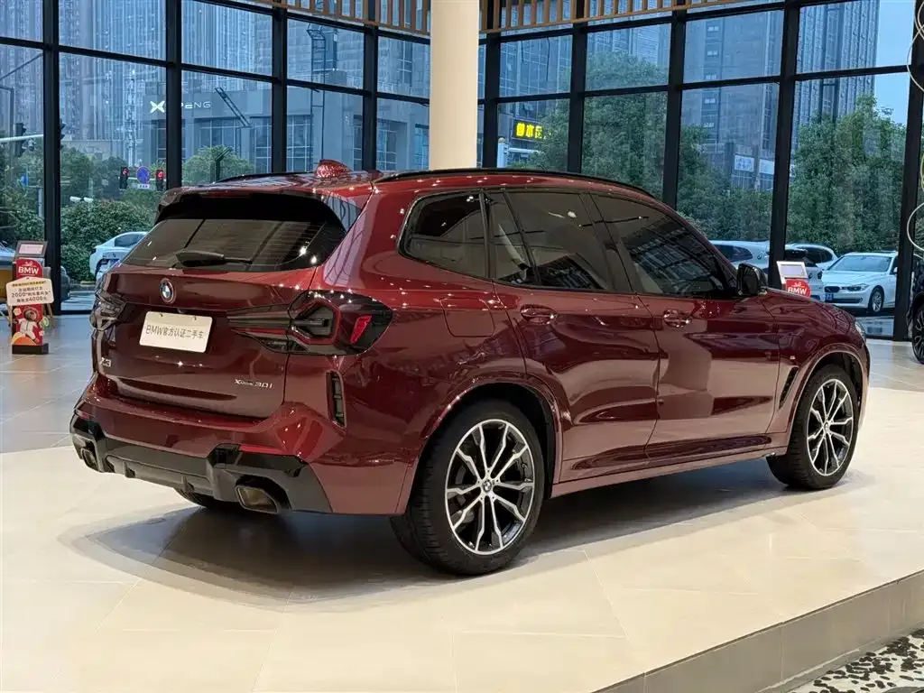 BMW X3 2022 из CN, фото 10