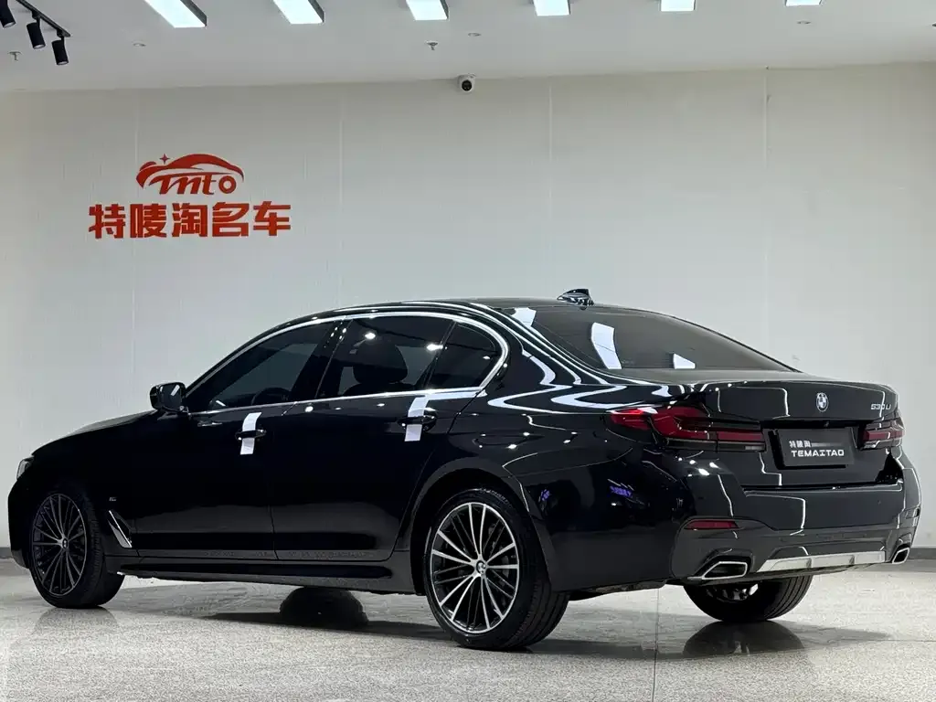 BMW 5 Series 2023 из CN, фото 4