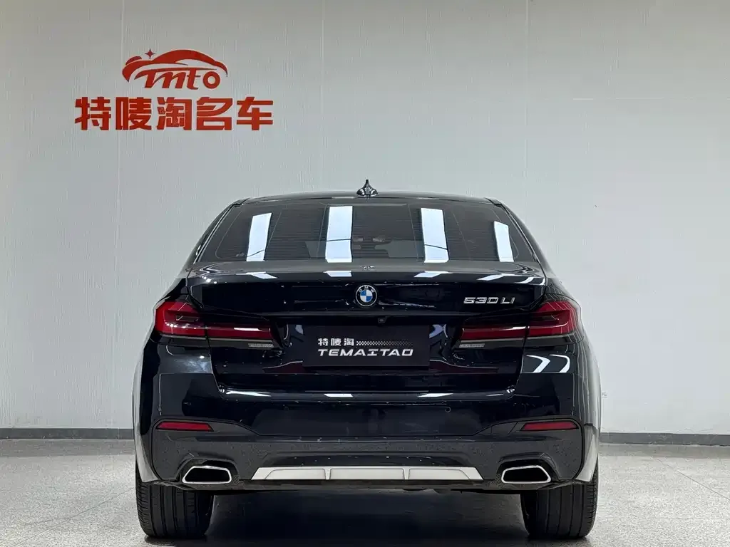 BMW 5 Series 2023 из CN, фото 5