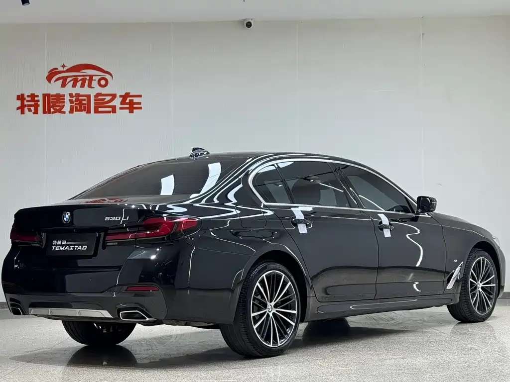 BMW 5 Series 2023 из CN, фото 6