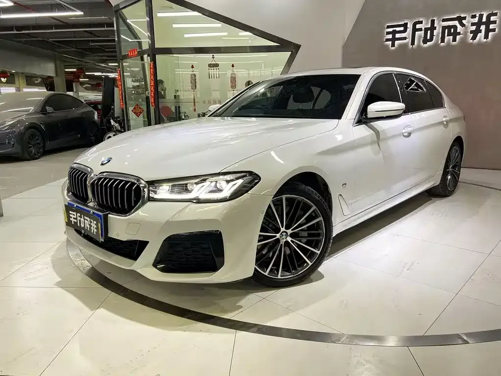 BMW 5 Series 2021 из CN, фото 1