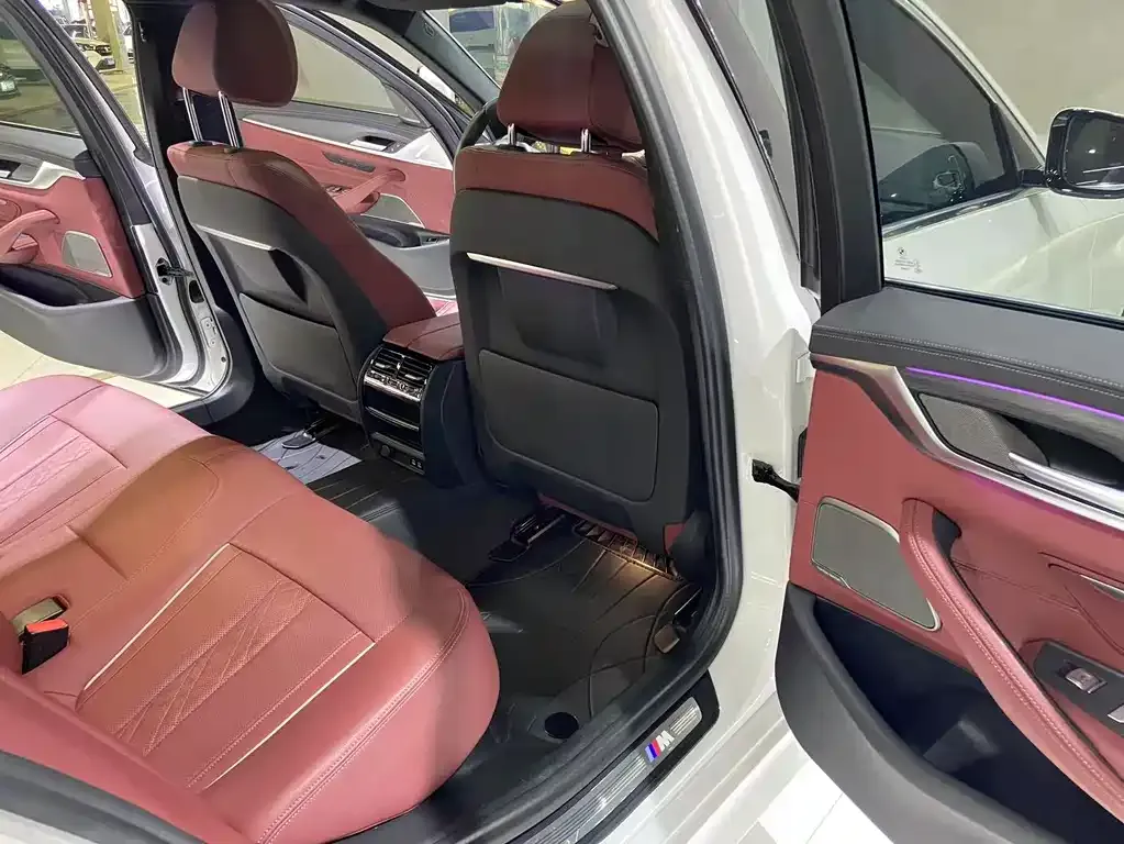 BMW 5 Series 2021 из CN, фото 4