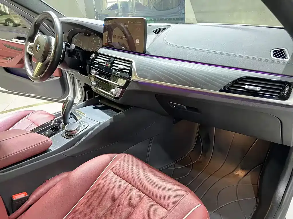 BMW 5 Series 2021 из CN, фото 6