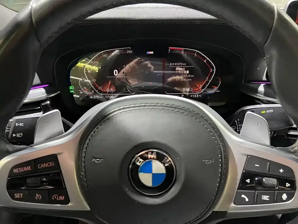 BMW 5 Series 2021 из CN, фото 8