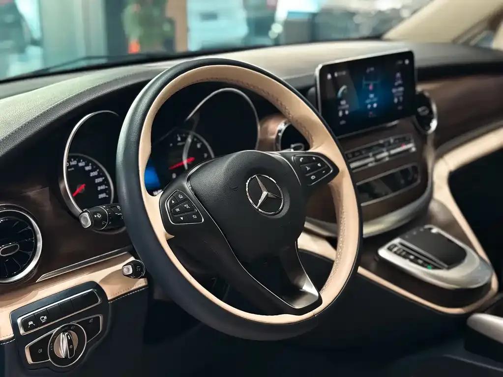 Mercedes-Benz V-Class 2021 из CN, фото 4