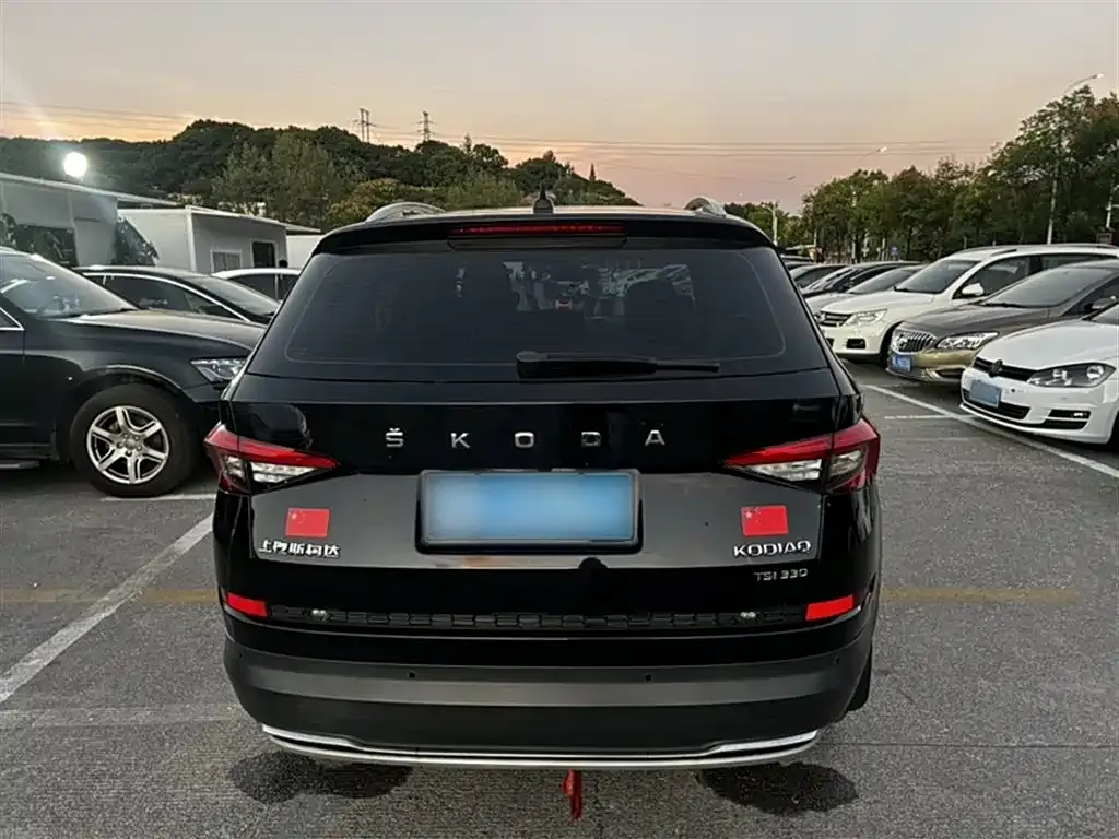 Skoda Kodiaq 2022 из CN, фото 6
