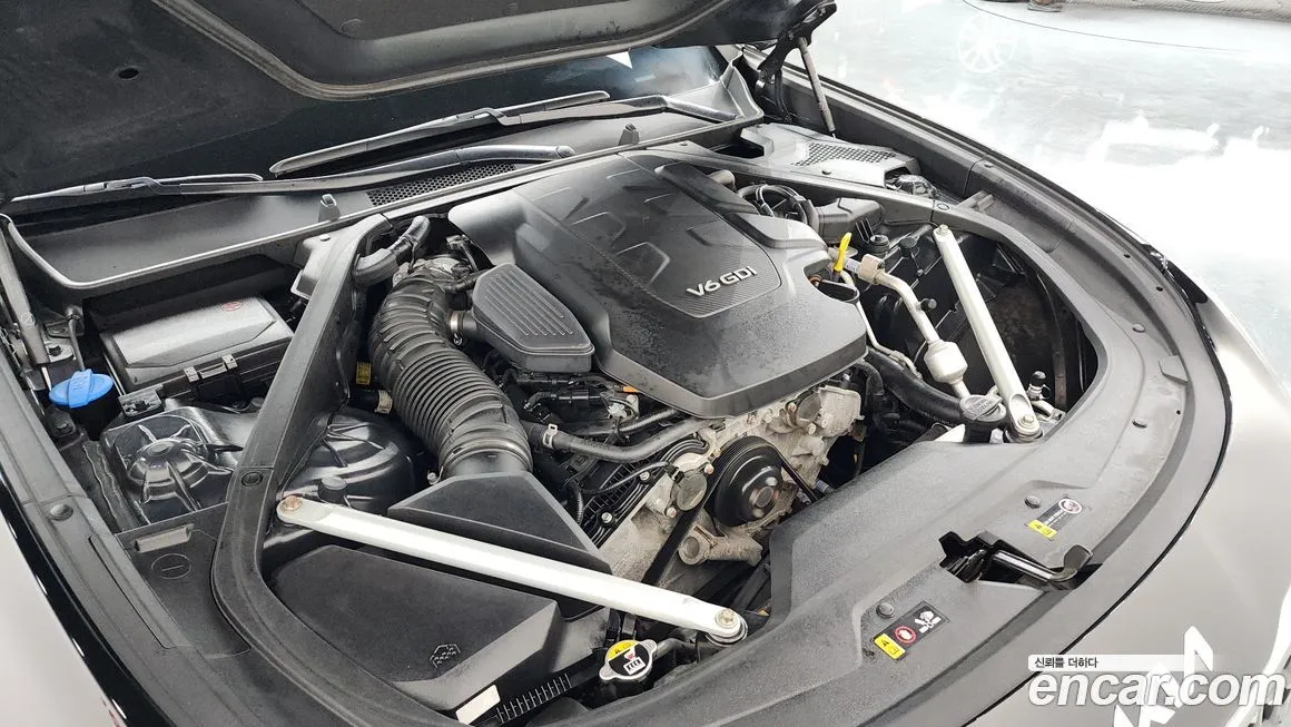 [object Object] K9 2023 из KR, фото 6