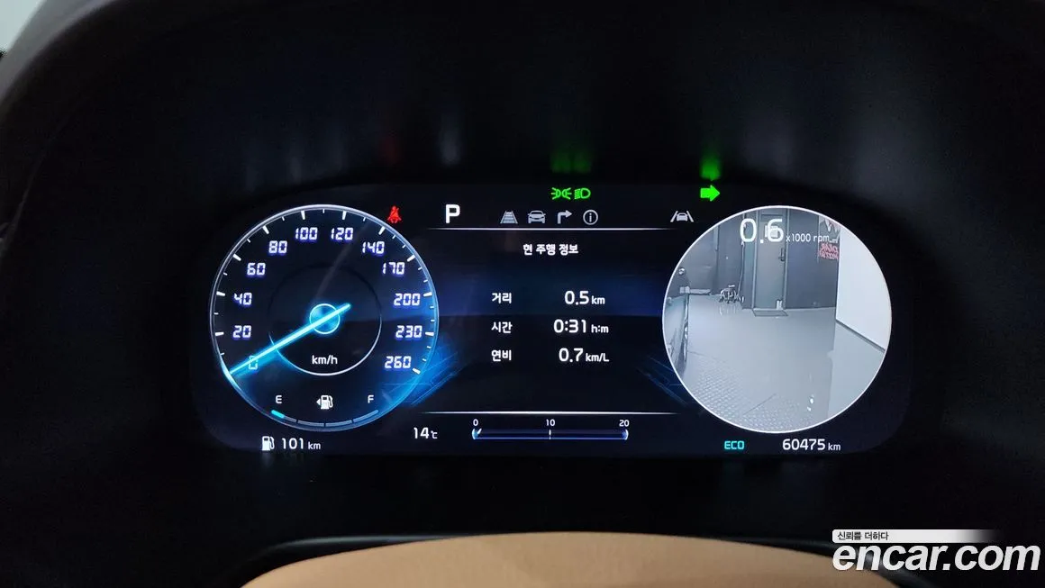 [object Object] K9 2023 из KR, фото 8