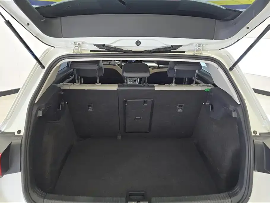 [object Object] Golf 2021 из CN, фото 4