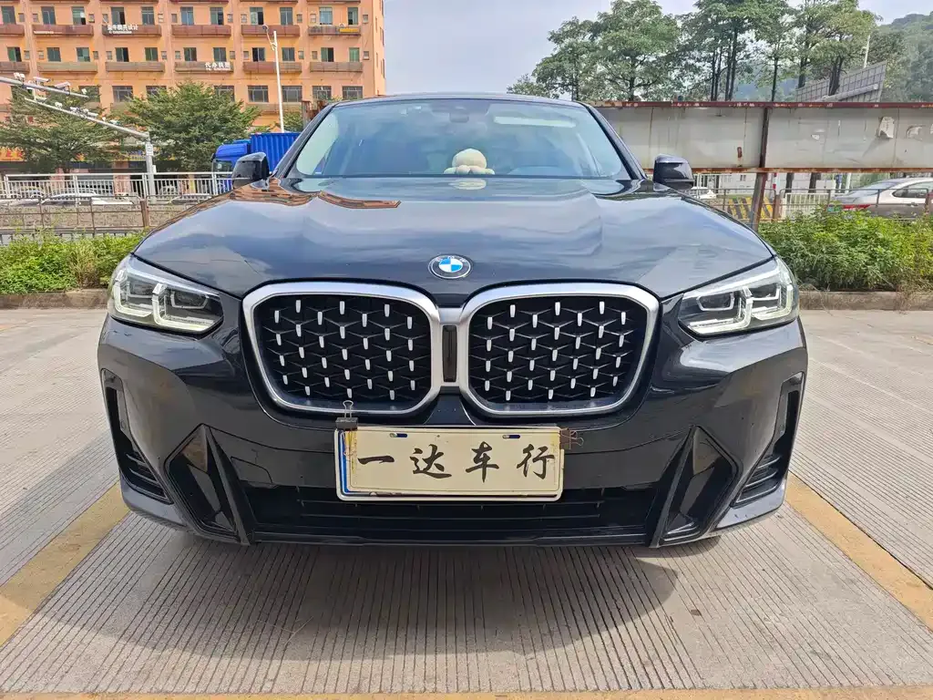 BMW X4 2022 из CN, фото 2