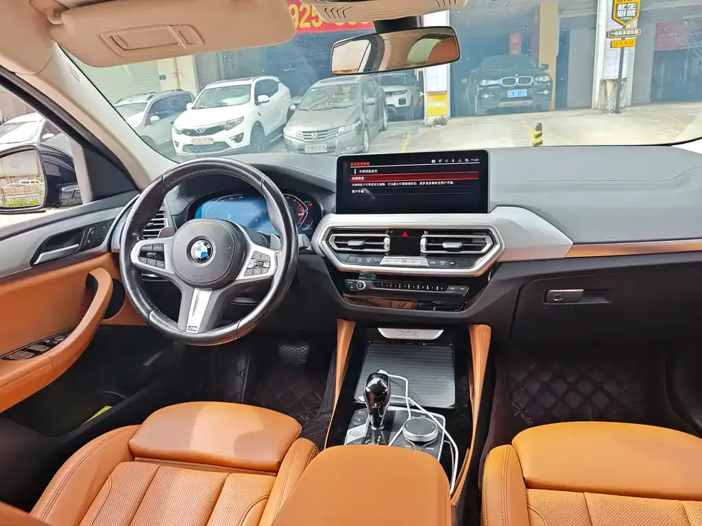 BMW X4 2022 из CN, фото 8