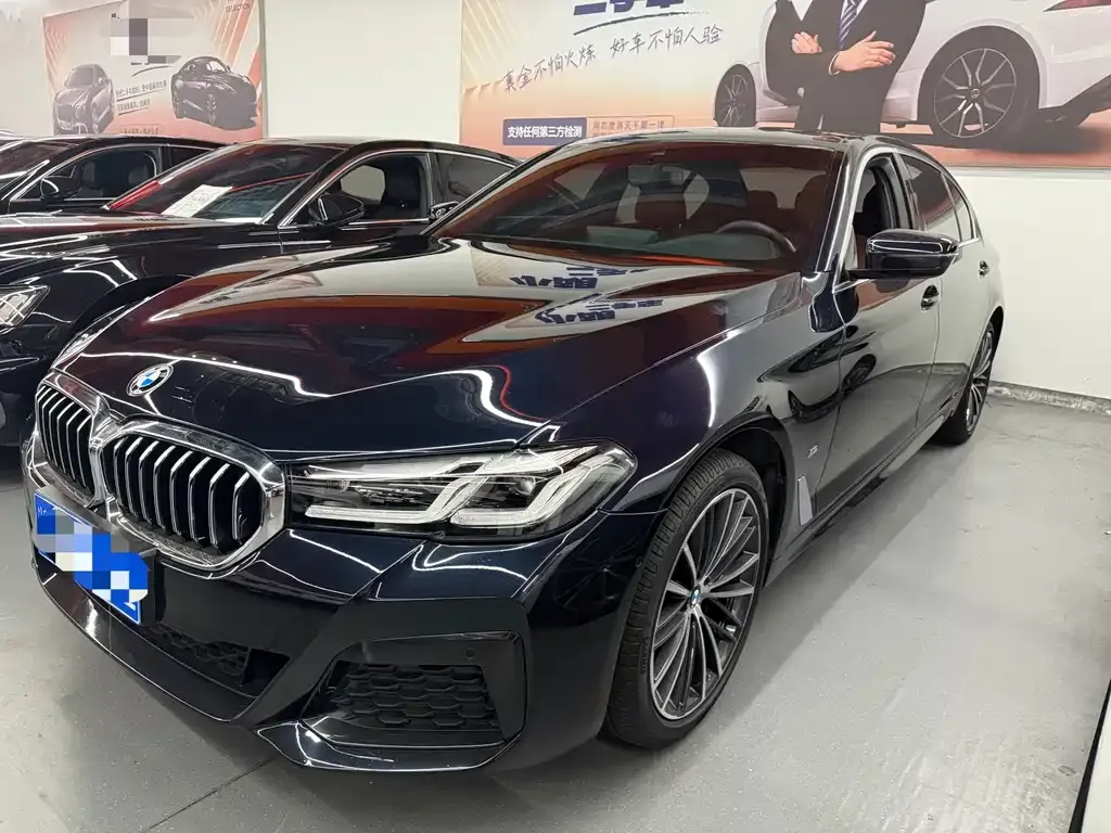BMW 5 Series 2023 из CN, фото 1