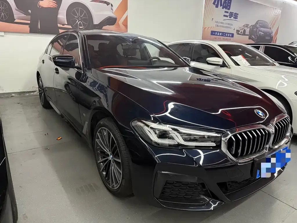BMW 5 Series 2023 из CN, фото 3