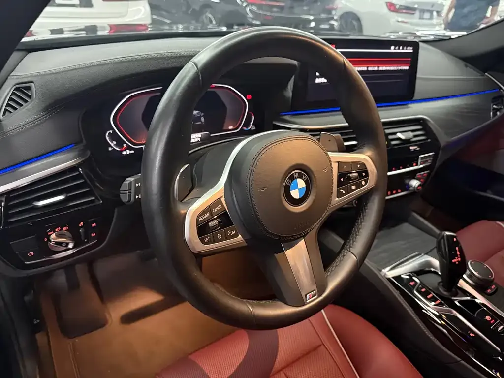 BMW 5 Series 2023 из CN, фото 5