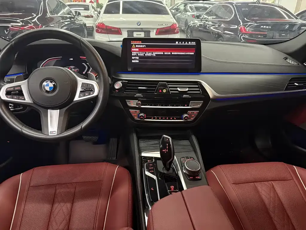 BMW 5 Series 2023 из CN, фото 8