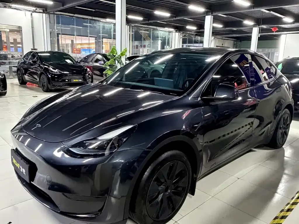 Tesla Model Y — фото 1