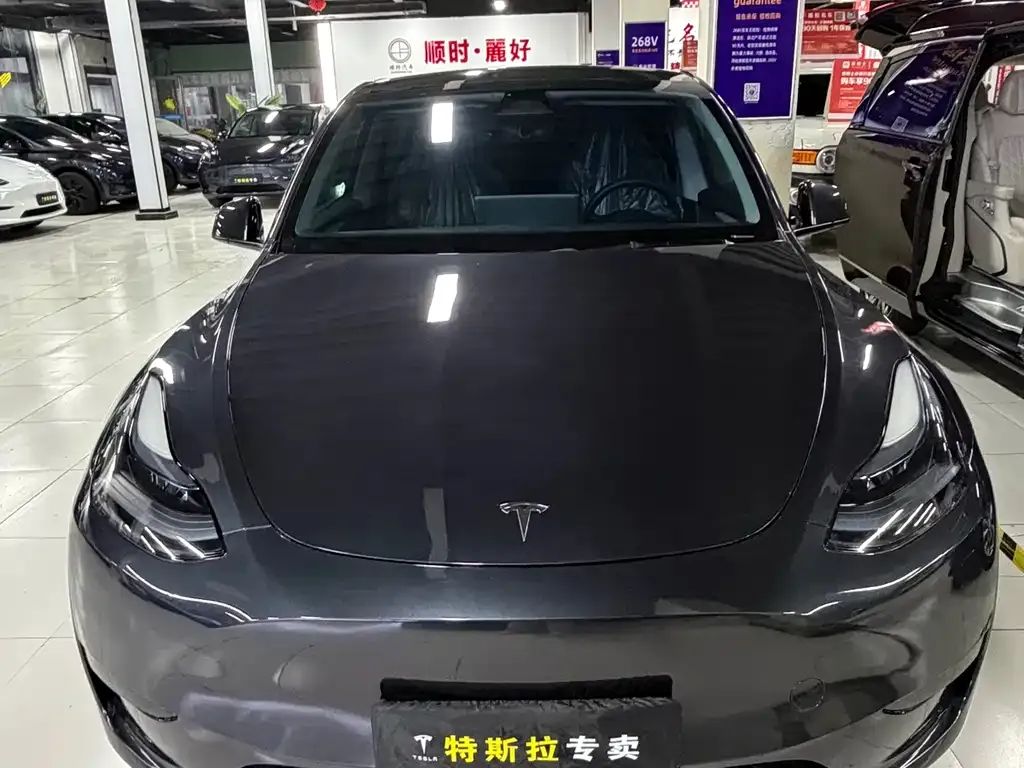 Tesla Model Y — фото 2