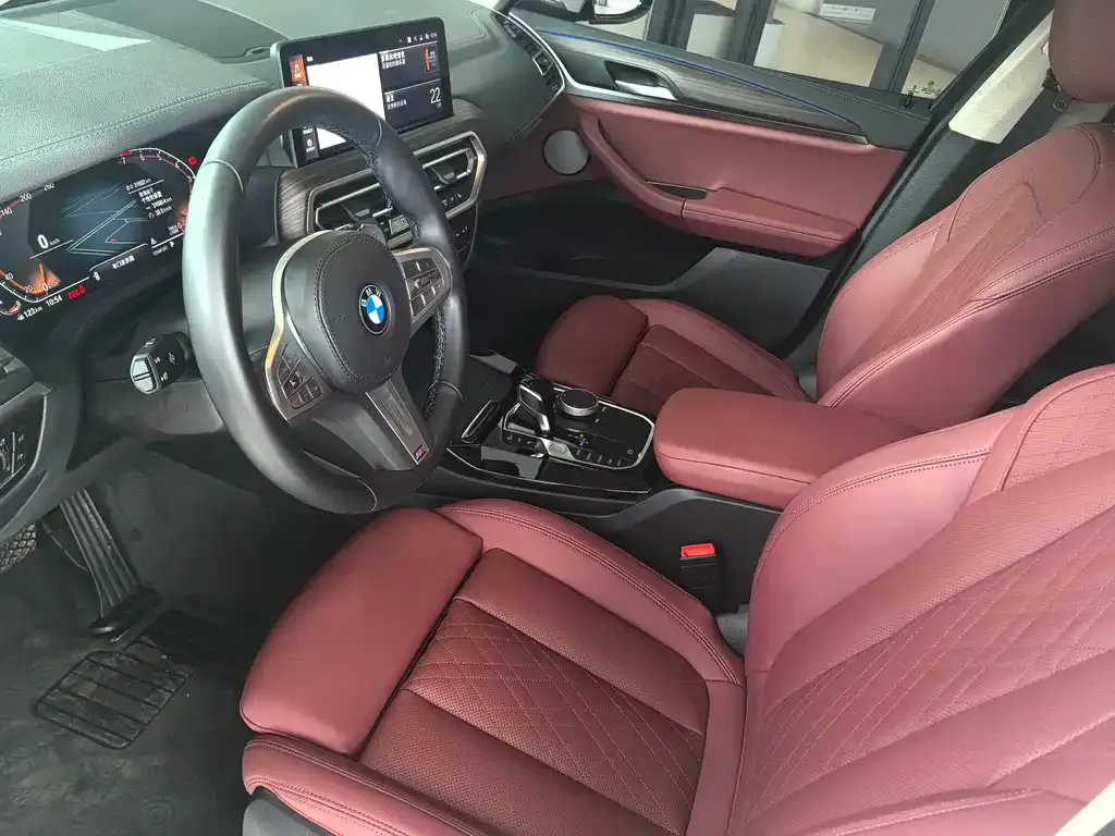 BMW X3 2023 из CN, фото 6