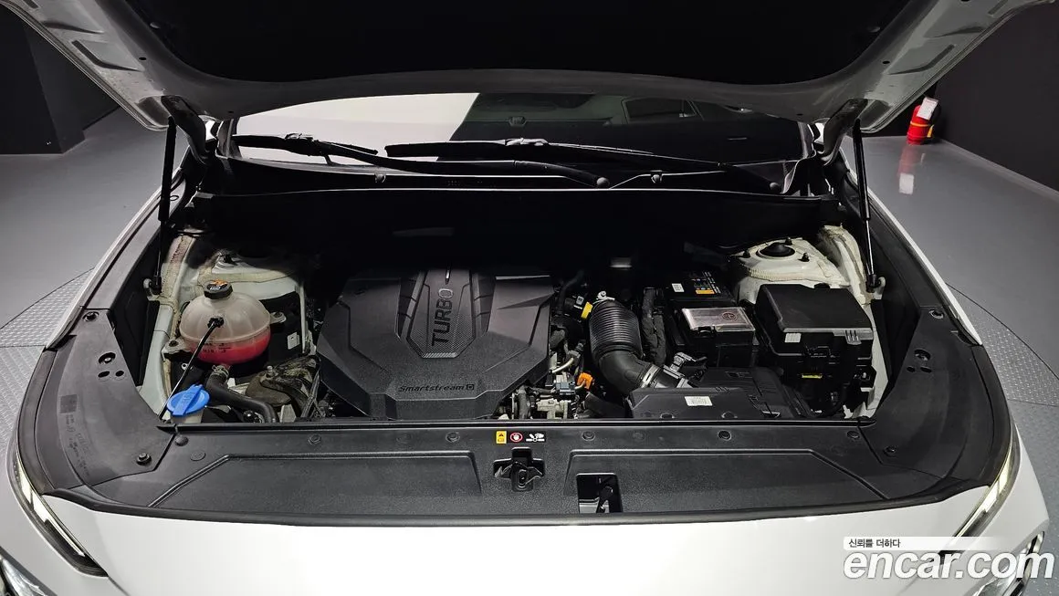 Hyundai Santafe 2021 из KR, фото 6