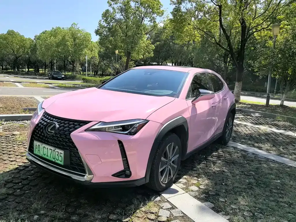 Lexus UX New Energy — фото 1