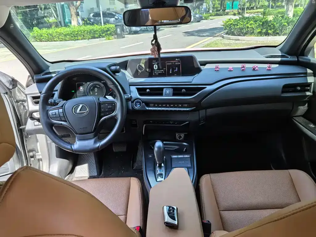 Lexus UX New Energy — фото 10