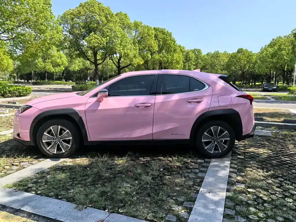 Lexus UX New Energy — фото 3