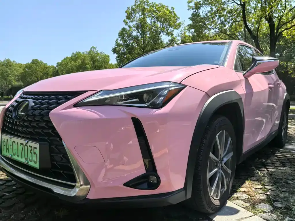 Lexus UX New Energy — фото 4