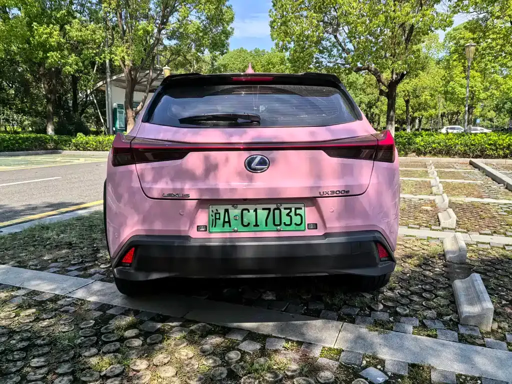 Lexus UX New Energy — фото 5