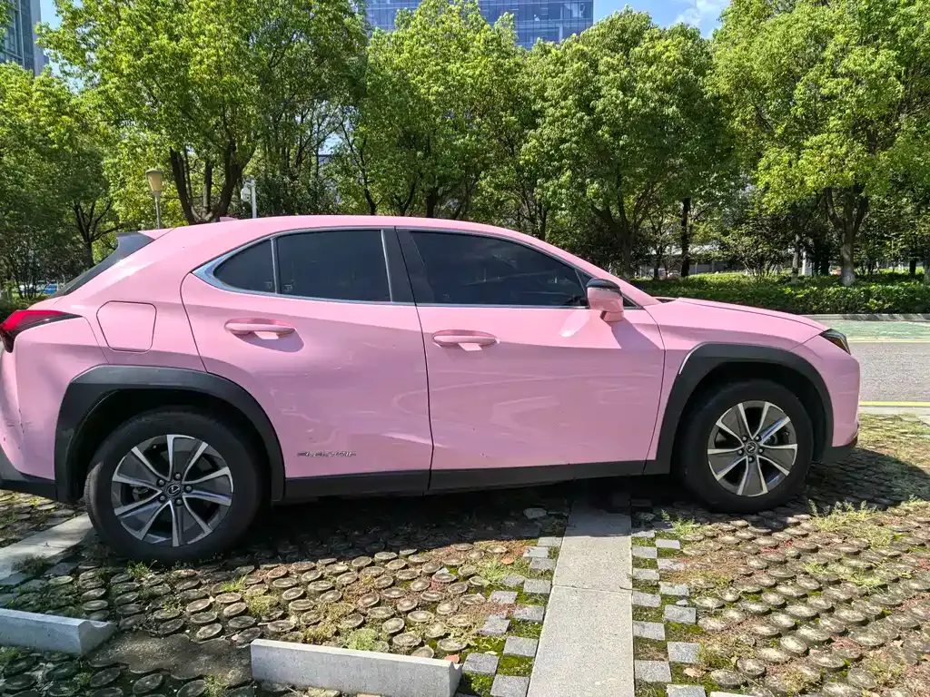 Lexus UX New Energy — фото 6
