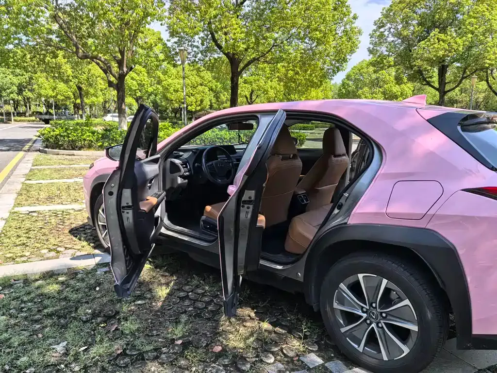 Lexus UX New Energy — фото 7