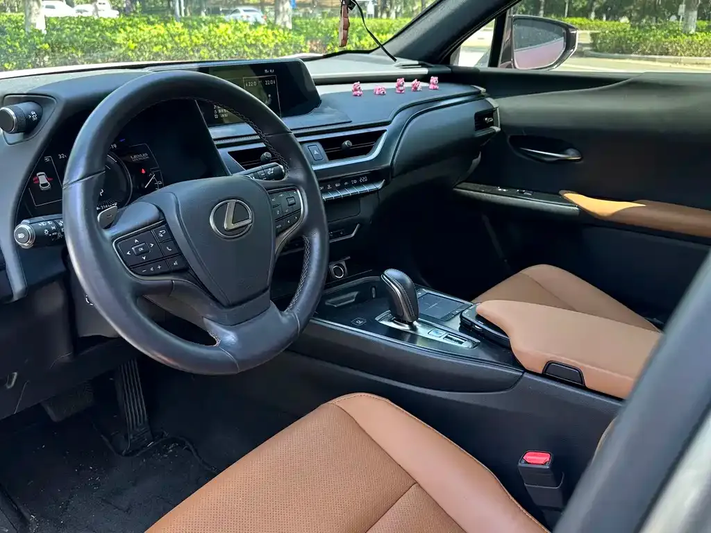 Lexus UX New Energy — фото 9