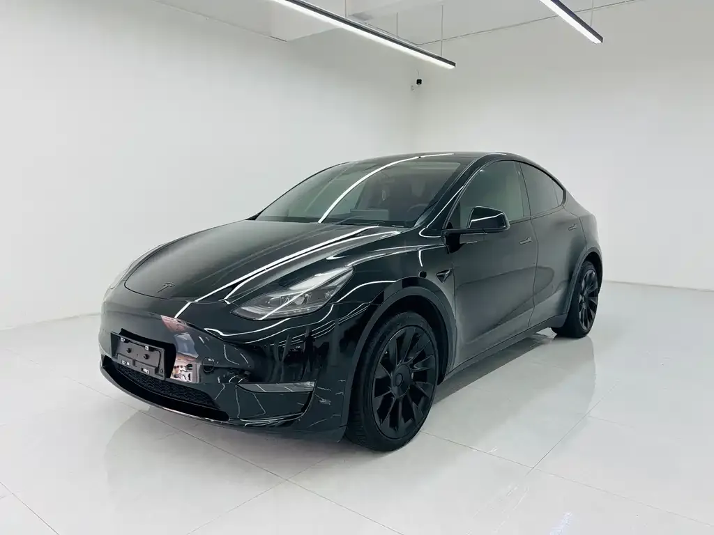 Tesla Model Y 2023 из CN, фото 1