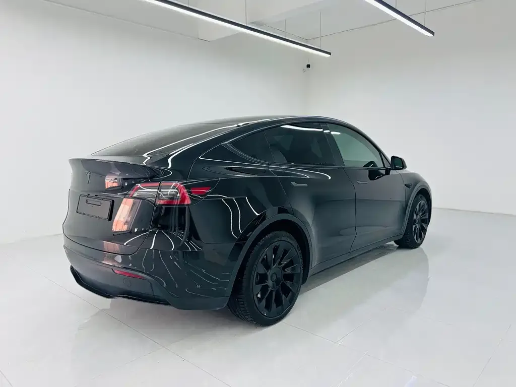 Tesla Model Y 2023 из CN, фото 6