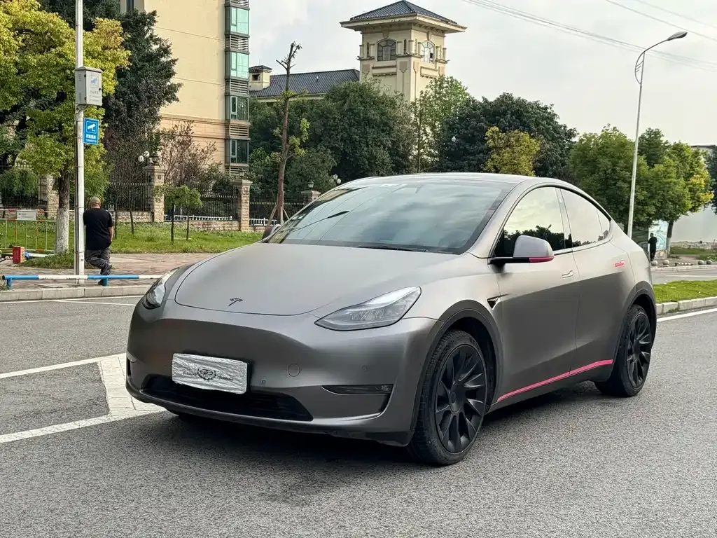 Tesla Model Y 2021 из CN, фото 1