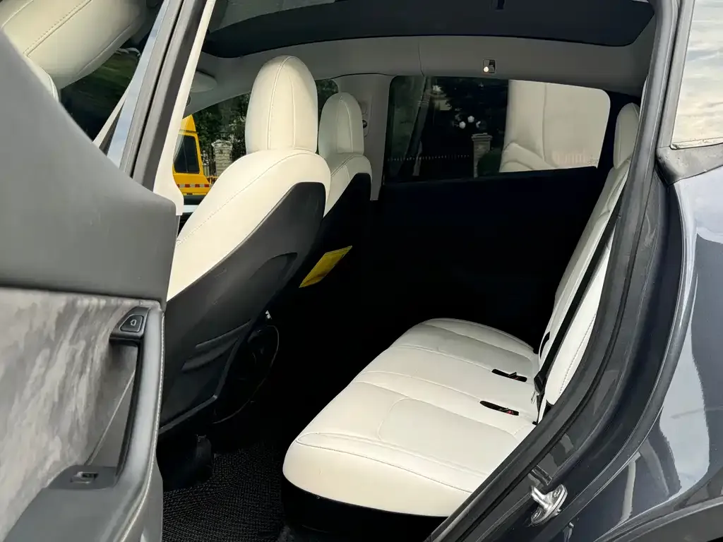 Tesla Model Y 2021 из CN, фото 10