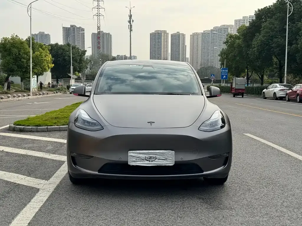 Tesla Model Y 2021 из CN, фото 2