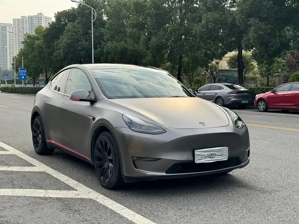 Tesla Model Y 2021 из CN, фото 3