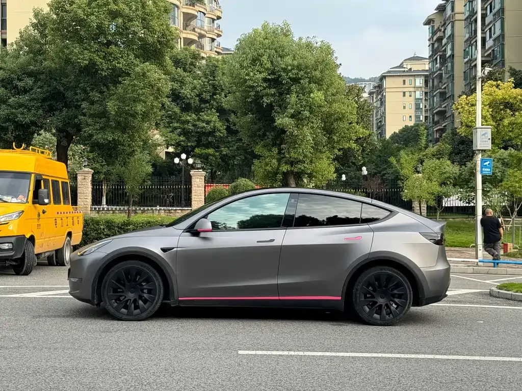Tesla Model Y 2021 из CN, фото 4