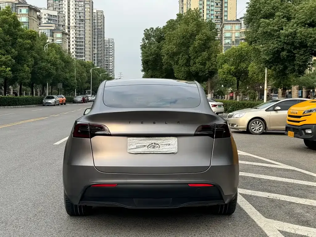 Tesla Model Y 2021 из CN, фото 6
