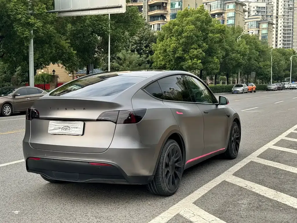 Tesla Model Y 2021 из CN, фото 7