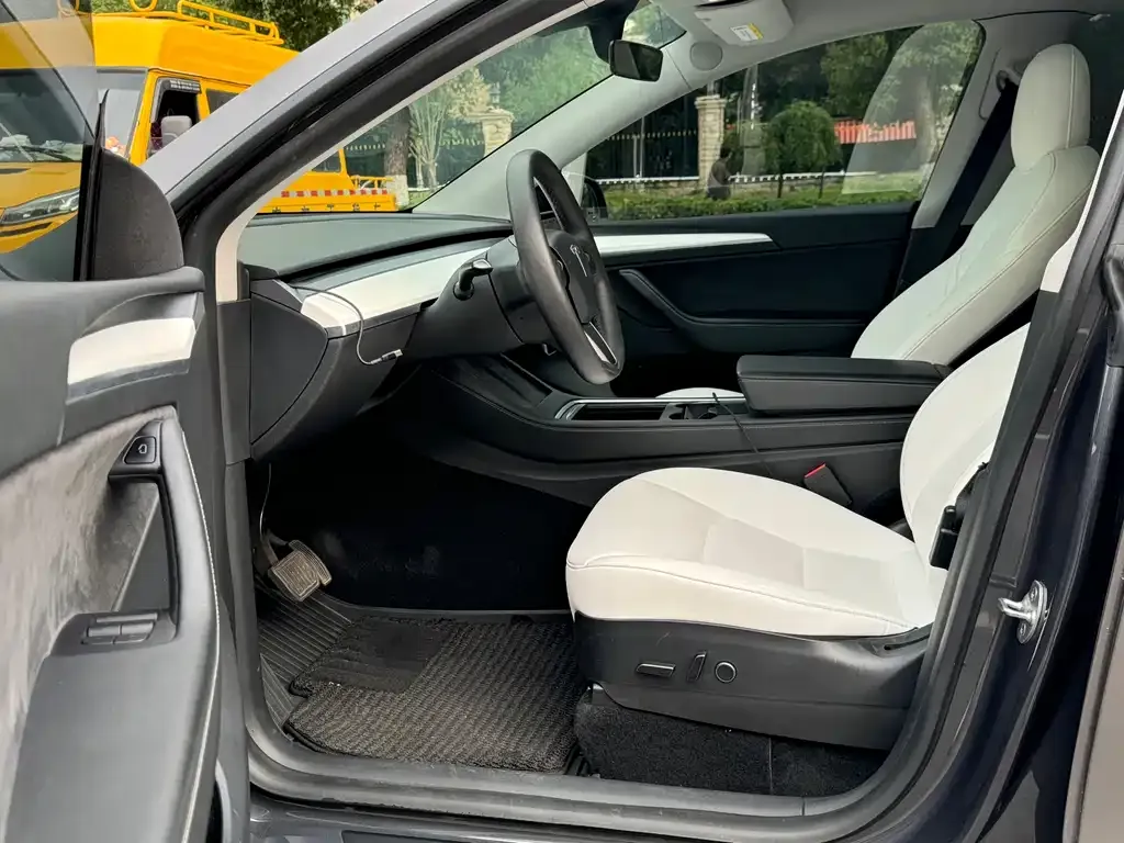 Tesla Model Y 2021 из CN, фото 8