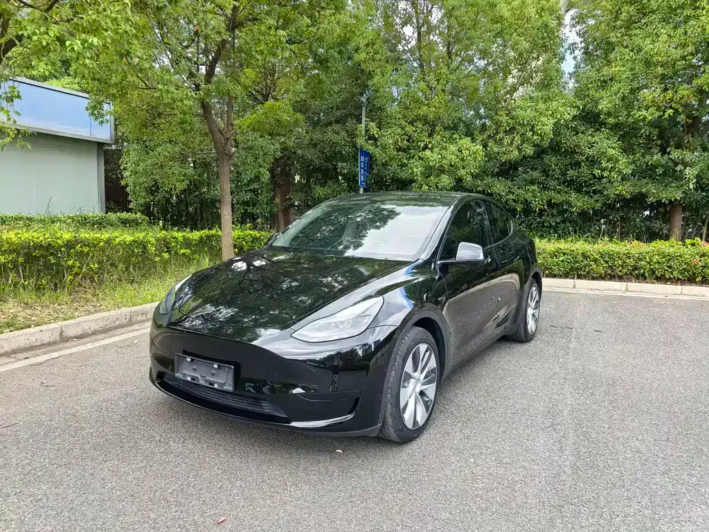 Tesla Model Y — фото 1