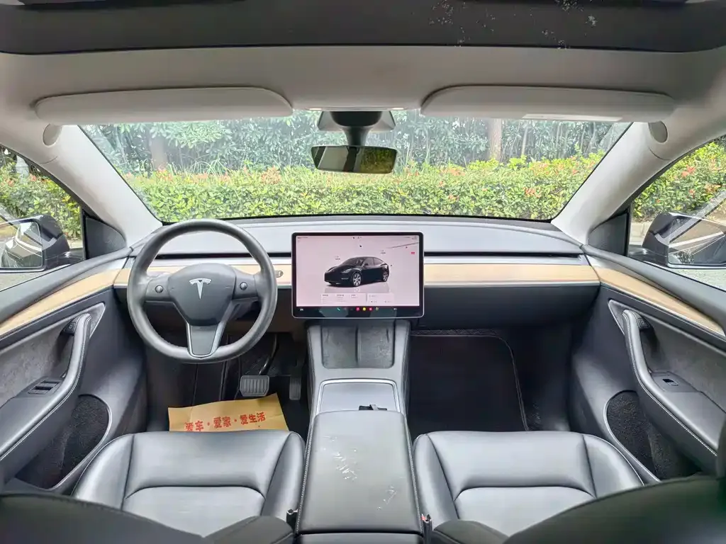 Tesla Model Y — фото 10