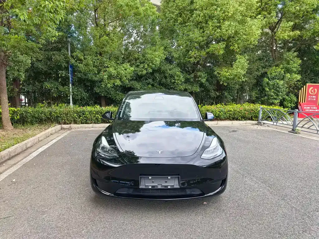 Tesla Model Y — фото 2