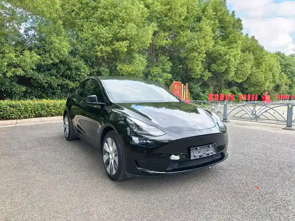 Tesla Model Y — фото 3