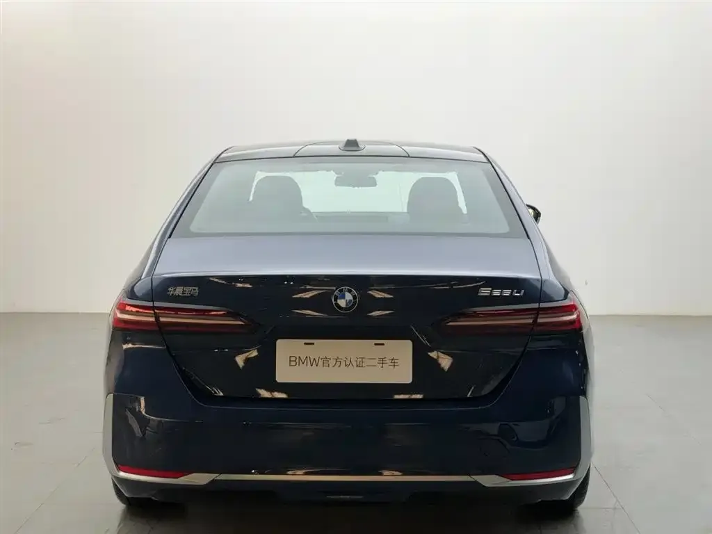 BMW 5 Series 2024 из CN, фото 5