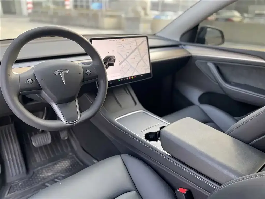 Tesla Model Y — фото 10
