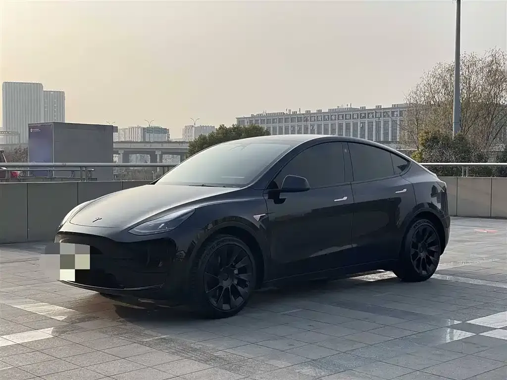 Tesla Model Y — фото 2